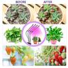 USB Full Spectrum Led Plant Grow Light Bulb  For Indoor Plants Flower Led Grow Lights Spot Lamp DC 5V