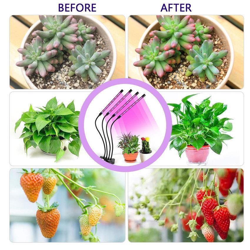 USB Full Spectrum Led Plant Grow Light Bulb  For Indoor Plants Flower Led Grow Lights Spot Lamp DC 5V