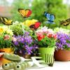 50/100Pcs 3D Butterfly Stakes Waterproof Multi-color Fake Butterfly Garden Artificial Pole Butterfly Ornaments Outdoor Decor