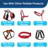 Petsafe Dog Nylon Width X Length 180cm Leash, Leash, Red, 1.0cm