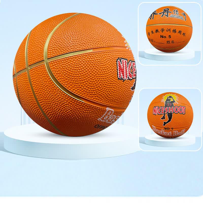 Dairian Indoor/Outdoor Basketball