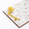 Mother Of Pearl Resin Tray With Gold Leaf Handles – Luxury Décor