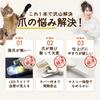 WanWeek Cat and Dog Nail with LED Light and Shatterproof Stainless Steel Prevents Ingrown Safety Suitable for Cats and Extra Small To Small Stylish