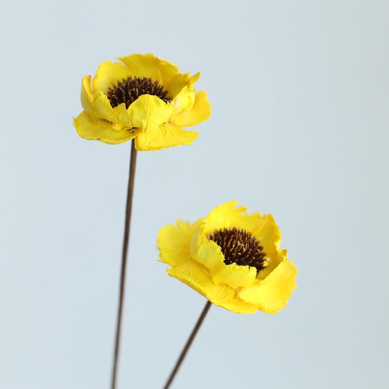 Yunnan Dried & Immortal Flowers Bouquet: Baby's Breath, Roses, Forget-Me-Nots for Home & Homestay Decor