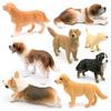 Captivating Golden Retriever Corgi And Saint Bernard Models Perfect For Pet Enthusiasts