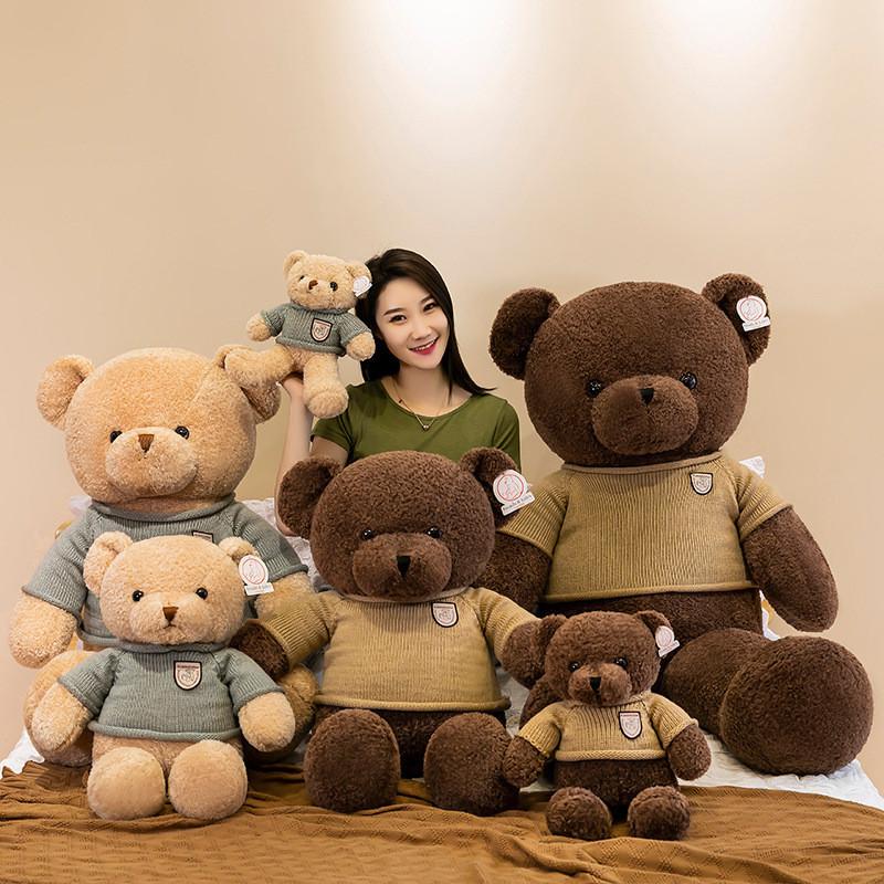 Bear Teddy Cartoon Animal Plush Doll Bear Pillow Soothing Sleep Gift Birthday
