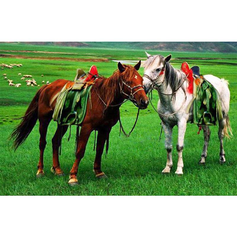 

Полный 5D Diy Алмазная картина Прерия Белая лошадь Алмазная вышивка Полный лежал вышивка крестом Домашний декор Подарок ручной работы