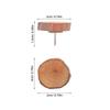 40Pcs Wooden Push Pins Flat Top Round Head Thumbtacks Decorative Cork Board Bulletin Board Map Pins for Hanging Photos Documents