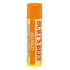 BURT’S BEES Mango Lip Balm