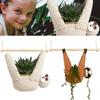 أواني وصناديق للحديقة – أحواض نباتات معلّقة