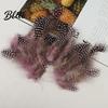 Feather Decorations for Colors 4.5-10cm Natural Chicken Guineahen Feathers Crafts 50Pcs Tail Bright Colored DIY