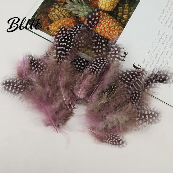 Feather Decorations for Colors 4.5-10cm Natural Chicken Guineahen Feathers Crafts 50Pcs Tail Bright Colored DIY