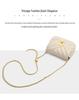 Women's Light Luxury Chain Crossbody Bag: Versatile Spring/Autumn Underarm Bag