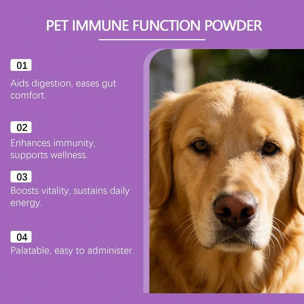 Probiotisk tarmpulver for hund