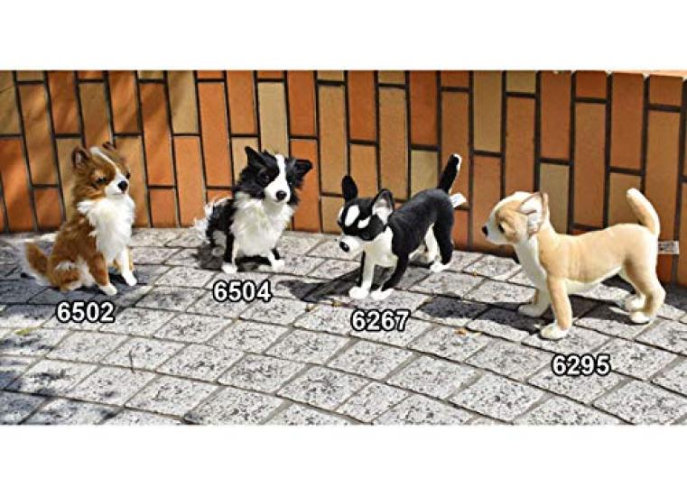 BH6295 HANSA Chihuahua 27