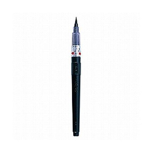 

Чернила Kuretake Жидкая бамбуковая кисть Средний символ (нет. 22) DM150-22B [5 бутылок]