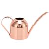 Watering Can for House Bonsai Garden Flower Outdoor Indoor Plants Long Spout Pot Stainless Steel