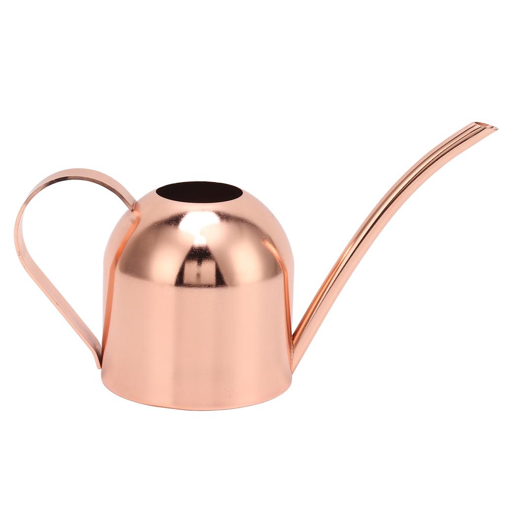 Watering Can for House Bonsai Garden Flower Outdoor Indoor Plants Long Spout Pot Stainless Steel