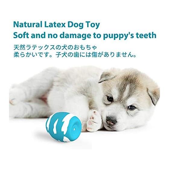 SCHITEC Dog Toys with Sound [Set of 6] Chew Toys for Stress Relief, Lack of Exercise, Egg Shape, Suitable for Puppies and Small Dogs