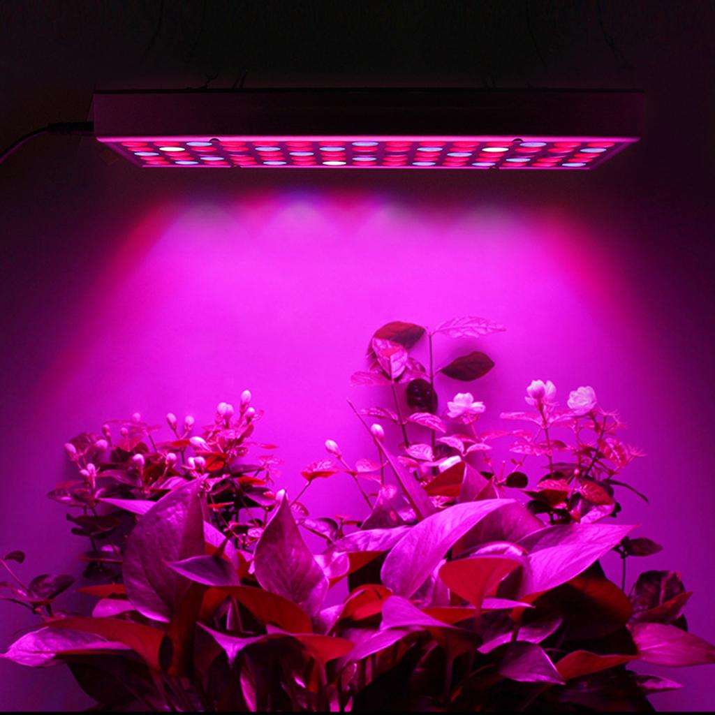 Volle Spektrum Gewächshaus Indoor Pflanze Licht Wachsen Kindergarten Licht Grün Pflanzen Blumen Gemüse mit