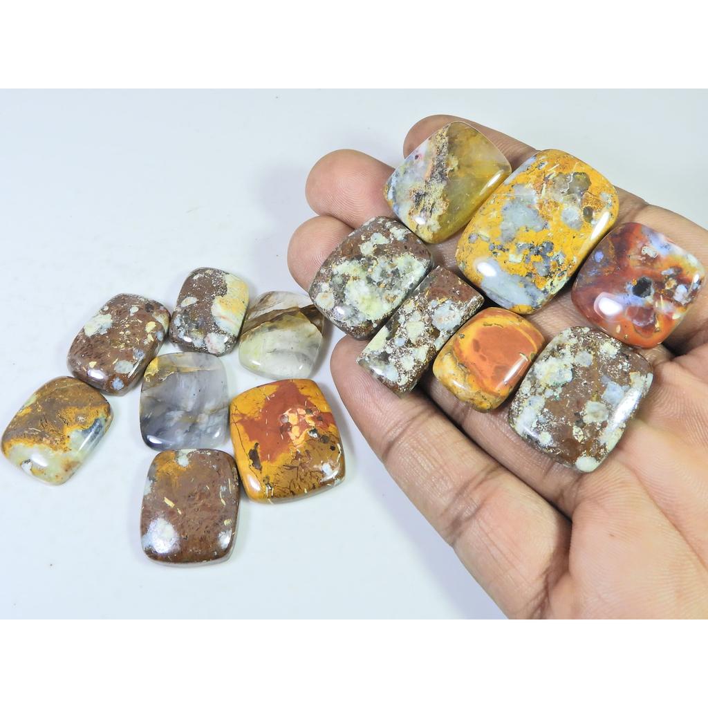 305Cts. Natural Forest Agate Octagon Cabochon Loose Gemstone 14 Pcs Lot C-1965