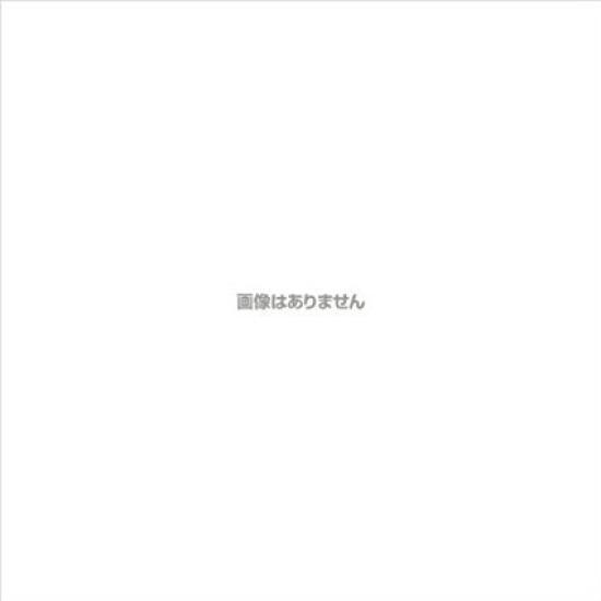 Toyosekiso Animal Object Dog Ornament Yorkshire Terrier 14206