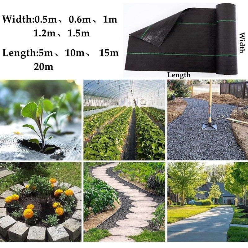 Black Agricultural Anti Grass Cloth PP Garden Weed Barrier Fabric Permeable Anti-Weed Mesh Geotextile Greenhouse Weeding Mat