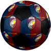 SIZE 5 FC Viktoria Plzeň Soccer Ball Colorful All Ages Machine Stitched PVC Competition Ready Durable High-Bounce