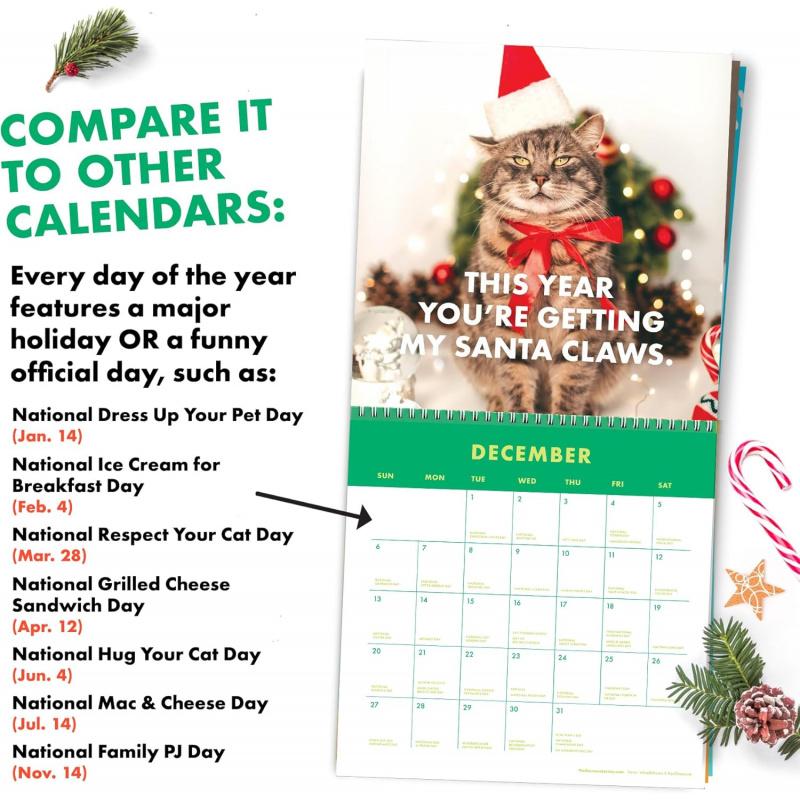 2026 Annual Angry Cat Calendar - Fun Trendy Gift for Angry Cat Lovers -12 Months Wall Planner,Used for Joke Gifts