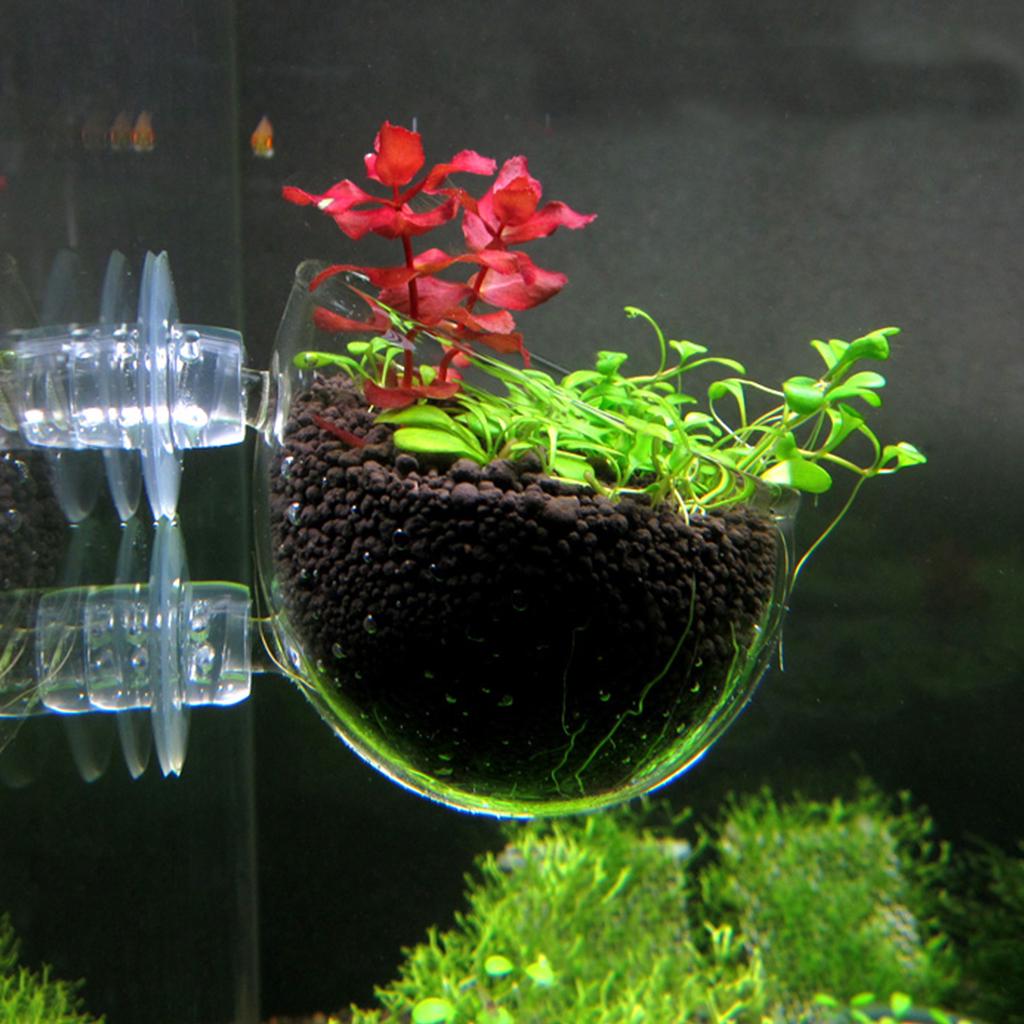 planter aquarium