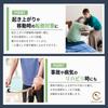 [Clove Cube] Head Guard - Fall Protection, Lightweight, One Size Fits All, for Elderly Care and Rehabilitation - 2 Types (Light Gray, Chin Strap Type)