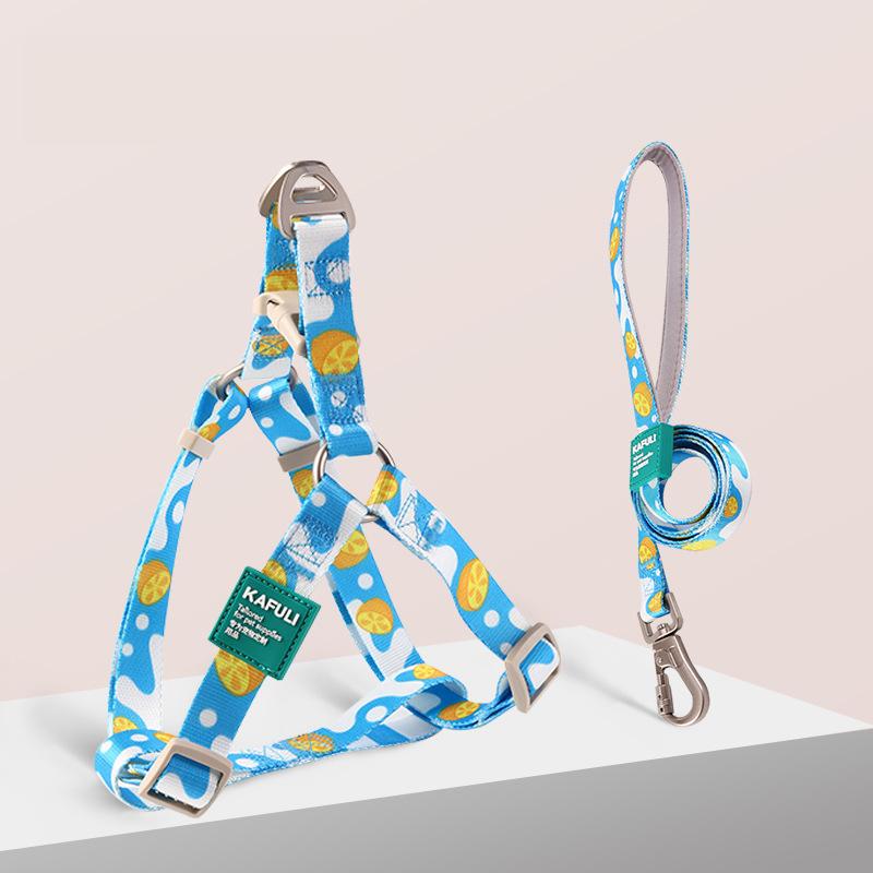 Set Vestă Ham pentru Câine și Lesă Ham Vestă pentru Animale de Companie Lesă Ajustabilă pentru Câine Ham Respirabil pentru Animale de Companie pentru Câini Mici Mijlocii Accesorii pentru Animale de Companie