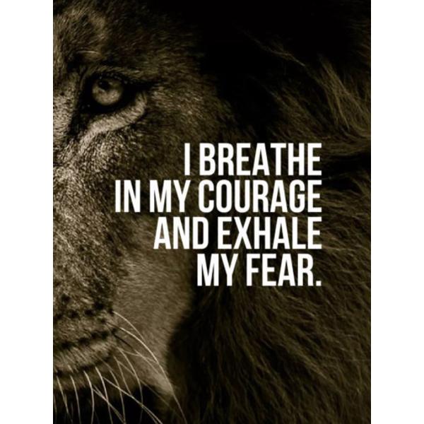 DIY 5D Diamond Painting Ruthless Lion Diamond Mosaic Cross Stitch Kits Home Decoration Full Round Diamond Embroidery