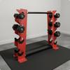 Dumbbell Rack Vertical Compact Exercise Storage for Gym
