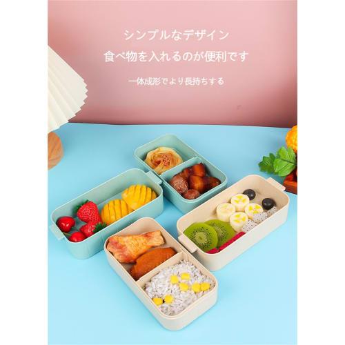 800ml Large Capacity Bento Box, 2-Tier, with Dishware, Dividers, Japanese Style, Antibacterial, Lightweight, Leak-Proof, Microwave and Dishwasher Safe