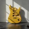 Gitarlar, Kitara ve Mandolinler – Gitar Aksesuarları