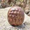 1pc Little Hedgehog Healing Series Dopamine Ornament Solid Wood Splicing Creative Playful Handle