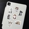 Cute Kitten Stickers - 64 Sheets Decorative DIY Set for Phone Cases & Stationery