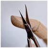 Russian-Style Cuticle Nippers: Stainless Steel, Small Curved, 45-Degree Sharpened Edge for Professional Nail Art and Dead Skin Removal.