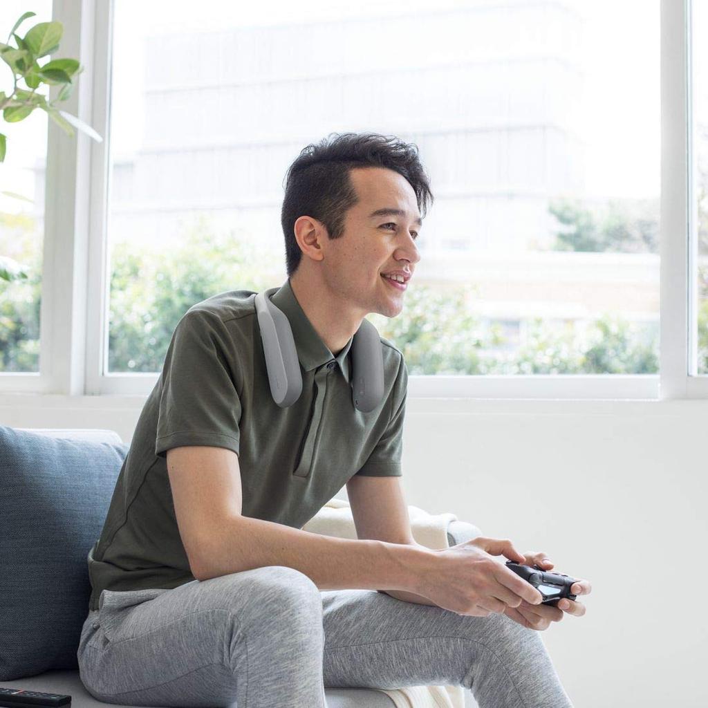 Genuine Sony Case with Sony Operates and charges while in SRS-WS1 (Compatible SRS-WS1) - place, washable, CKS-SRSWS1