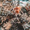 77mm 77mm Kaleidoscope Prism Foreground Blur Camera Glass Filter Lens