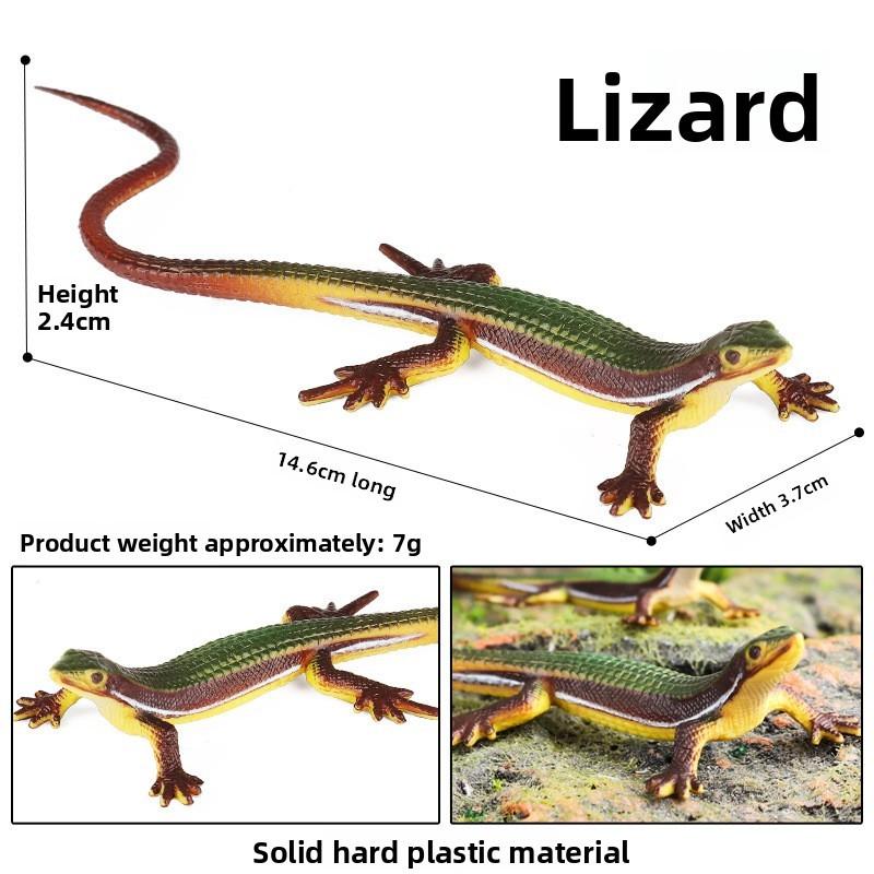 Lizard And Snake Toys Wildlife Figures Plastic Models For Kids Play Education
