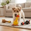 Squeaky Sound Latex Chew Toy Standing Form Dog Training Toy Pet Sound Plaything  Puppy Training