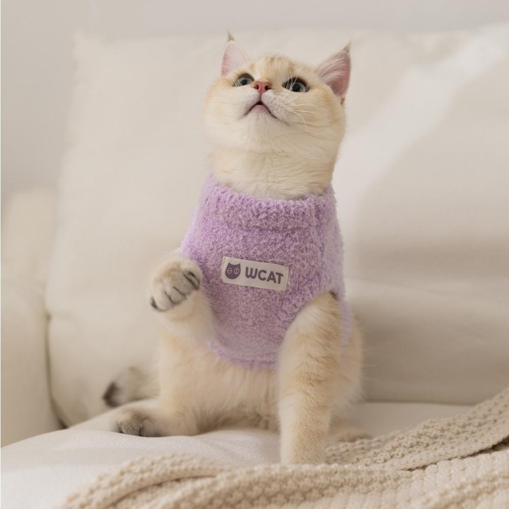 Autumn and Winter Cat New Two-legged Sweater German Cat Hairless Cat Clothes Pet Clothes Cat