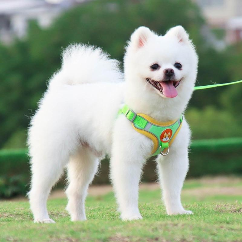 Pet Chest Strap Vest Type Dog Strap Small Dog Rope Outdoor Reflective Breathable Dog Traction Rope Dog Collar Seat Belts
