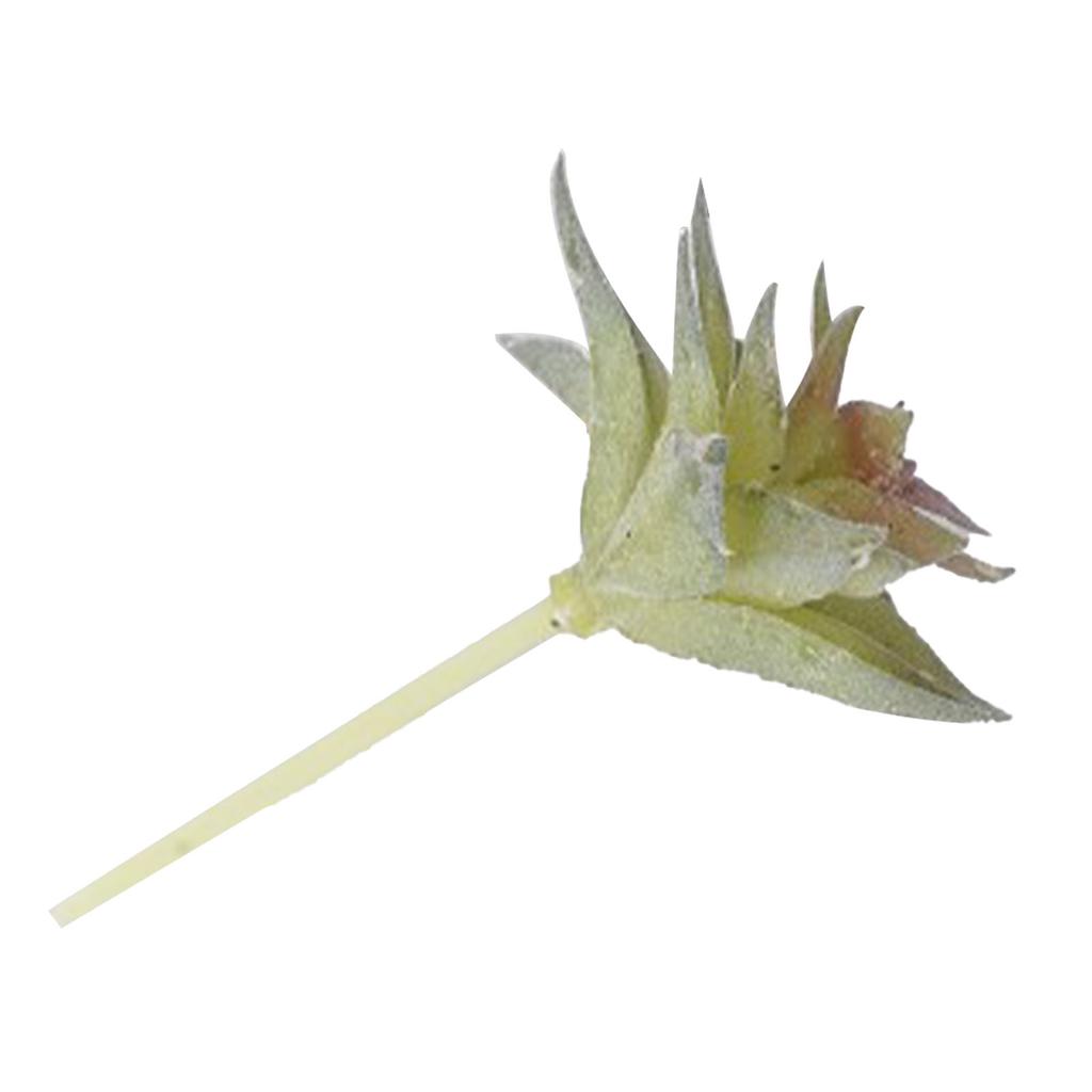 Künstliche Sukkulente Pflanze Weiches PVC Hohe Simulation Mini Kunstpflanze für Heim Büro Schreibtisch Dekoration