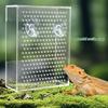 Wandmontierter Acryl-Reptilienfutterautomat Transparente Futterbox mit Saugnäpfen für Gecko Eidechse Bartagame Futterzubehör