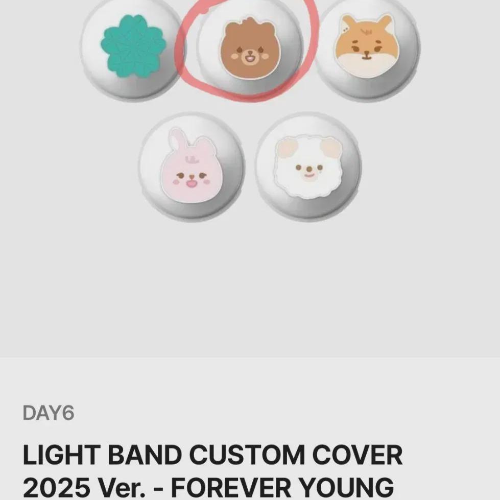 DAY6 Madewatch Custom (room)