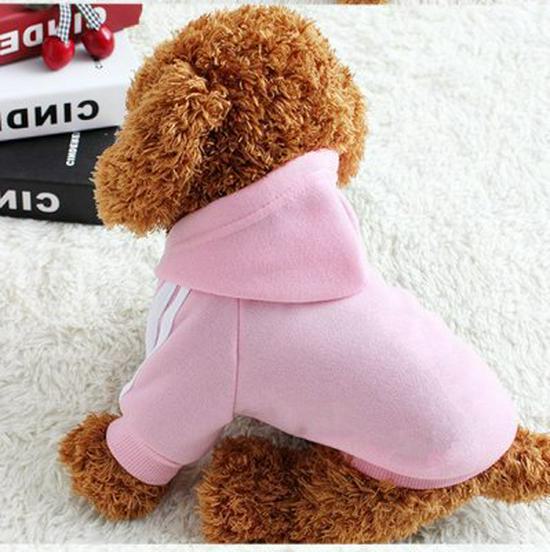 "Pet Autumn & Winter Clothes: Golden Retriever, Samoyed, Husky, Border Collie & Cat Apparel"