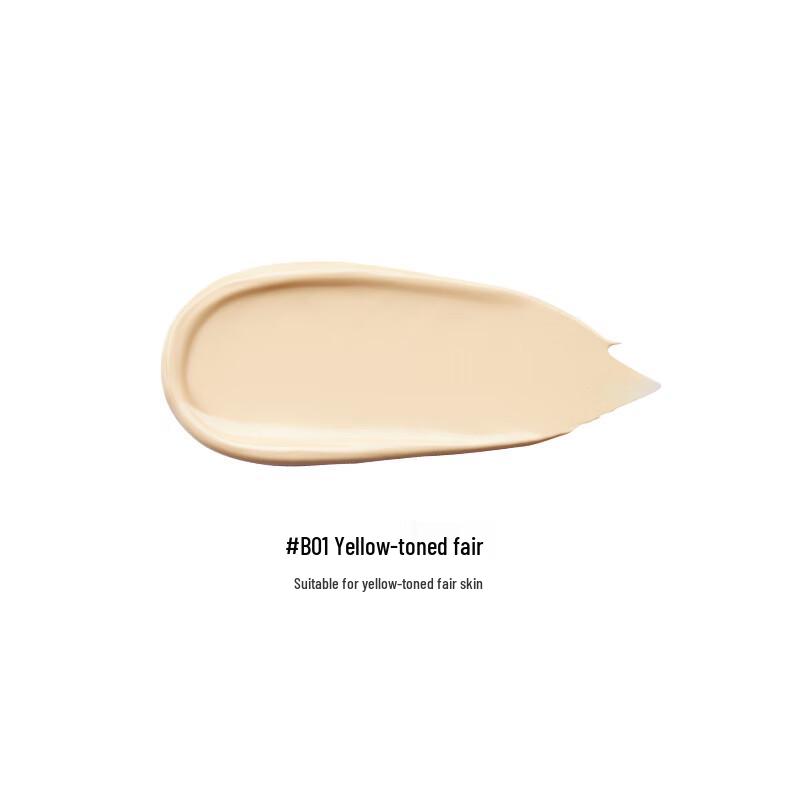 Perfect Diary Little Black Mirror Cushion Foundation